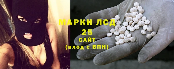 мет Елабуга