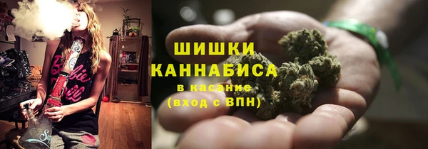 мет Елабуга