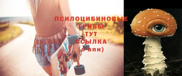 мет Елабуга