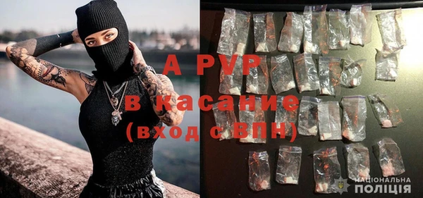 ECSTASY Заволжье