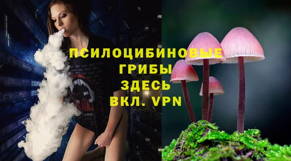 каннабис Ельня