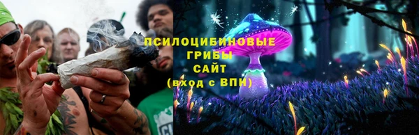 мет Елабуга