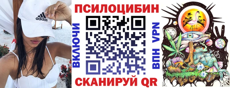 Купить закладки  Заволжск  Галлюциногенные грибы мухоморы 